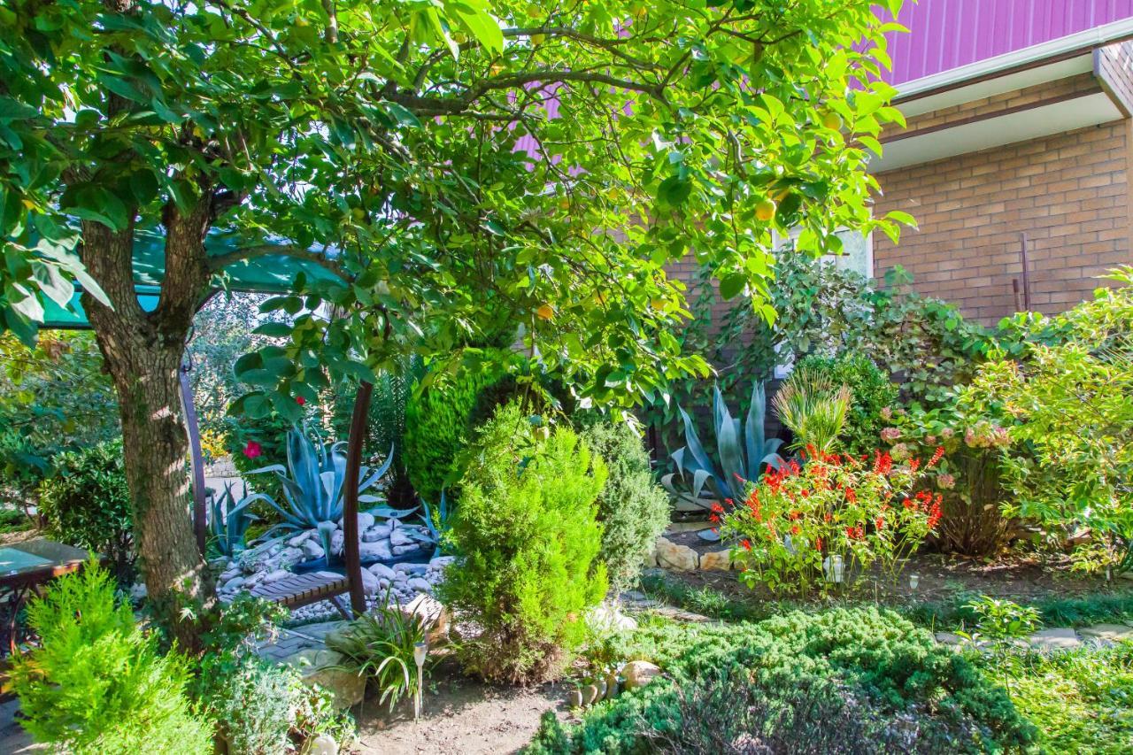 Primorie Guest House Tsandrypsh Ngoại thất bức ảnh